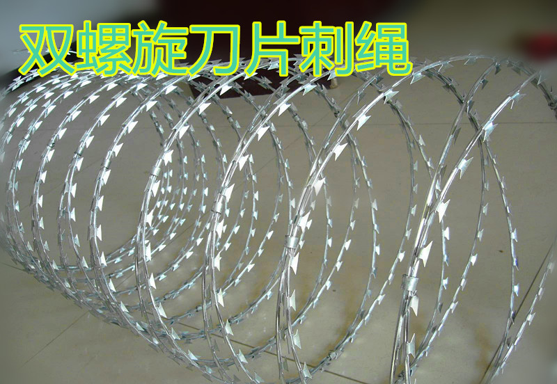 304不锈钢刀片刺绳刺网/小区防盗网/防护网/铁丝网防爬网带刺铁丝