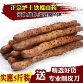 包邮 河南焦作新鲜垆土铁棍怀山药温县铁杆淮山药正宗铁棒山约5斤
