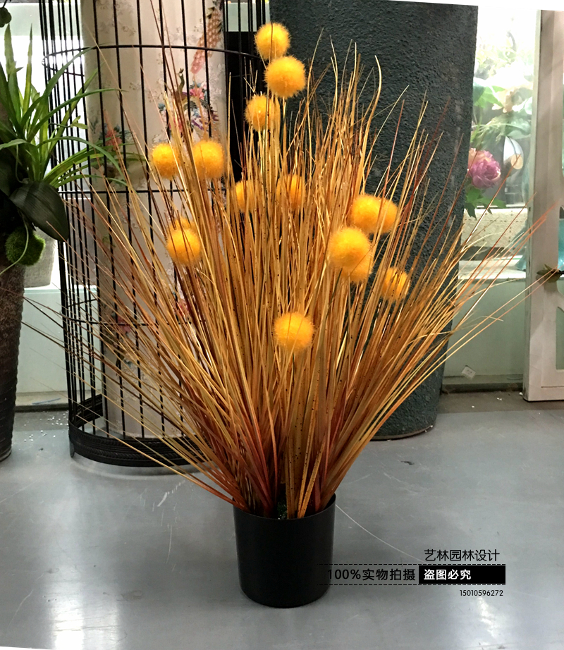 包邮仿真芦苇盆栽干花假花蒲棒道具狗尾草水生植物装饰落地绿植物