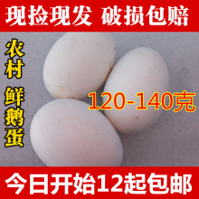 包邮 140克农家生态散养新鲜鹅蛋草鹅蛋土鹅蛋孕妇去胎毒12枚 120
