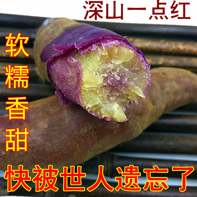 新鲜地瓜 冰淇淋一点红番薯紫心红薯小香薯农家现挖28元5斤包邮