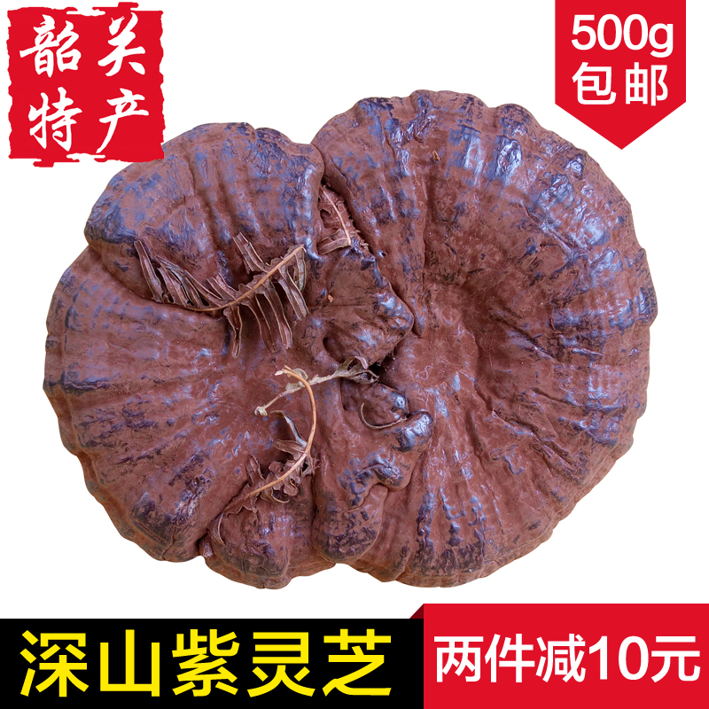 【天天特价】纯天然深山野生紫灵芝整枝 林芝可切片500g包邮特价