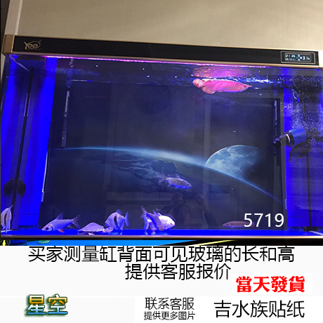 定做高清龙鱼缸水族箱背景纸画壁纸画鱼缸背景贴纸图装饰造景星空