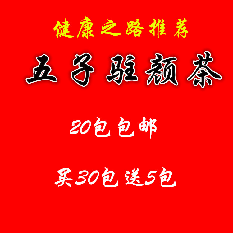 五子驻颜茶 枸杞子 桑葚子 女贞子 覆盆子 菟丝子1包20包包邮