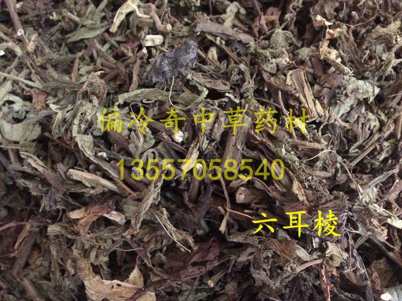 偏冷奇中草药 六耳玲 吊钟黄 六棱菊 波缘艾纳香 六耳棱 500克