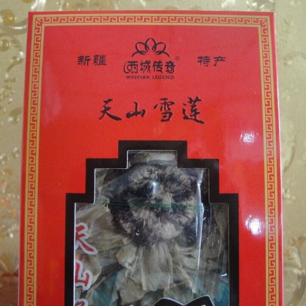 新疆天山雪莲花
