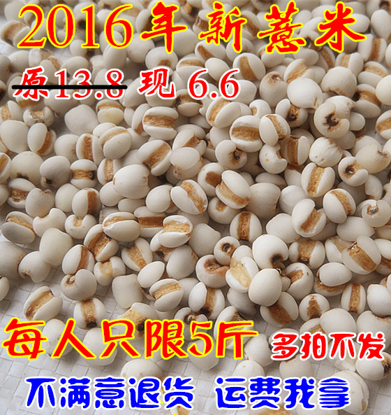 2016年新小薏米小薏仁正宗贵州薏米小苡米刚刚成熟 杂粮  包邮