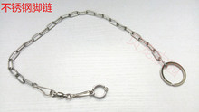 灰鹦鹉脚链 小太阳 开口脚环 和尚 鹦鹉站架配件 不锈钢鹦鹉脚链