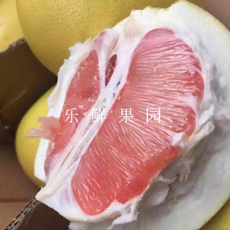 台湾红肉文旦柚5斤装鲜嫩多汁红文旦新鲜红柚子水果发