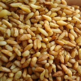 中药材柏子仁纯仁正宗去壳柏籽仁柏米侧柏仁肉包邮500g