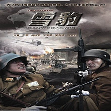 文章 DVD 吴秀波 商城正版 主演 雪豹