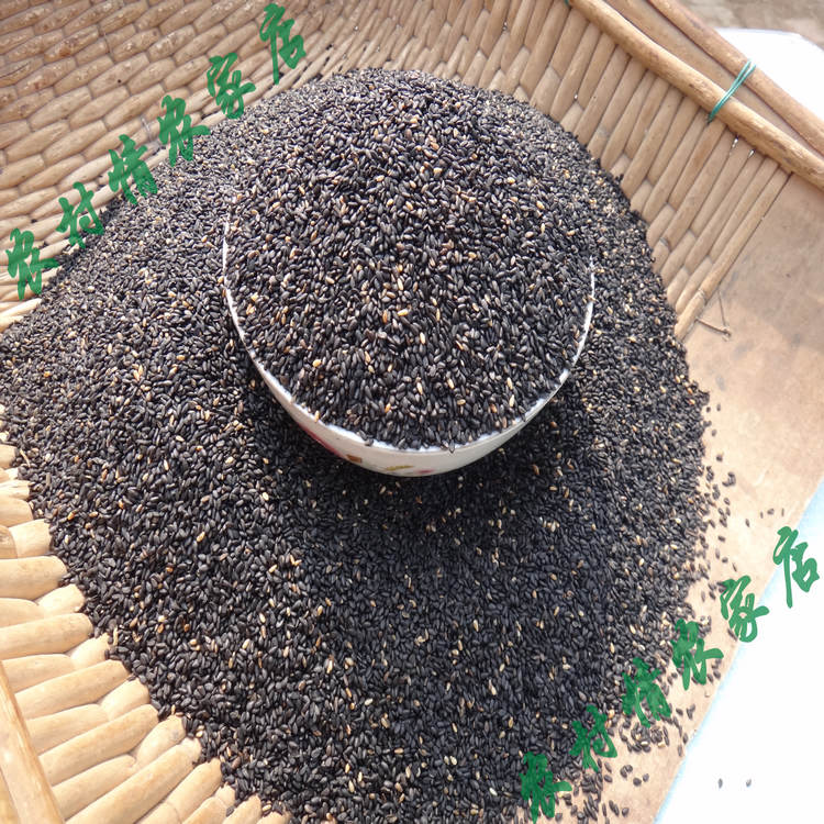 农村情 2016新农家货  黑芝麻 香脆 补钙乌发 当天炒熟