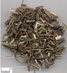 中药材柴胡苗 柴草 500克