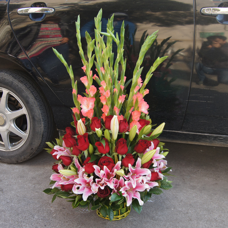 正品[沙河市篮球联赛]沙河市篮球联赛官网评测