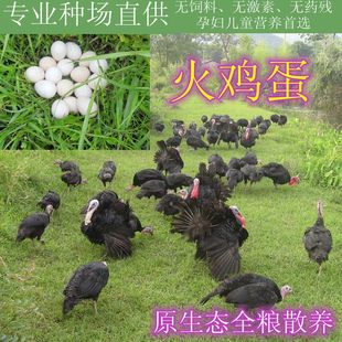 火鸡蛋土鸡孵化蛋火鸡种蛋火鸡受精蛋农家散养鸡蛋宝宝辅食30颗包