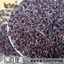 粗粮 黑麦带皮小麦米食用颗粒种子500g杂粮散装 黑小麦粒 农家富硒