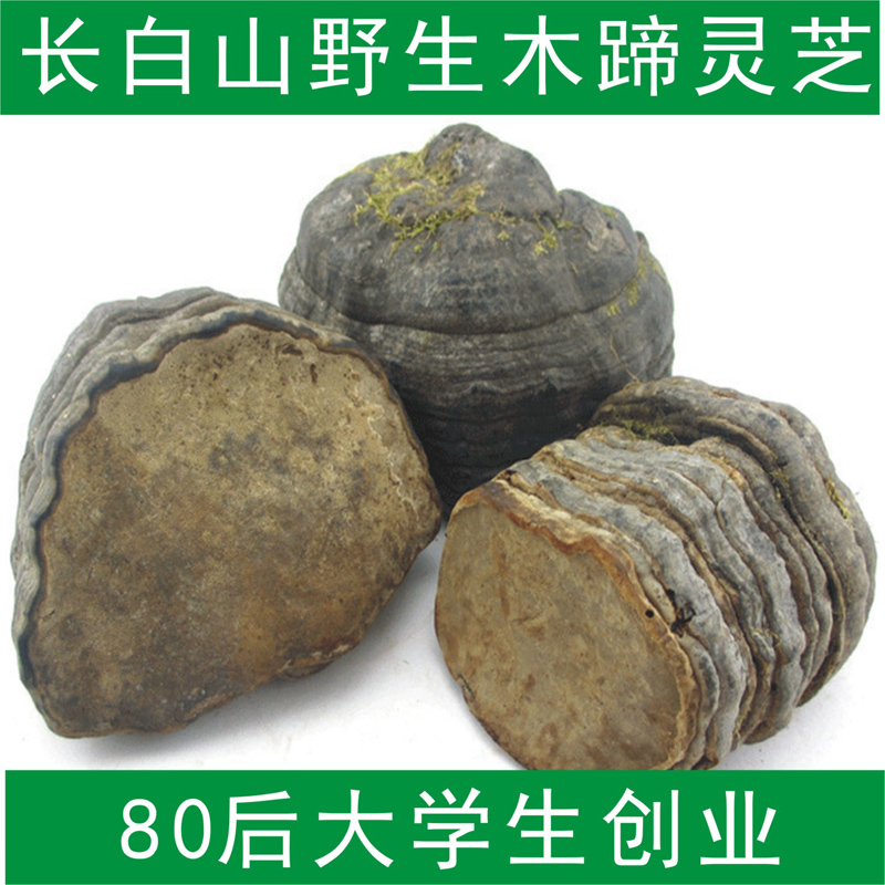 野生木蹄灵芝 马蹄灵芝 长白山木蹄层孔菌250克 正品包邮