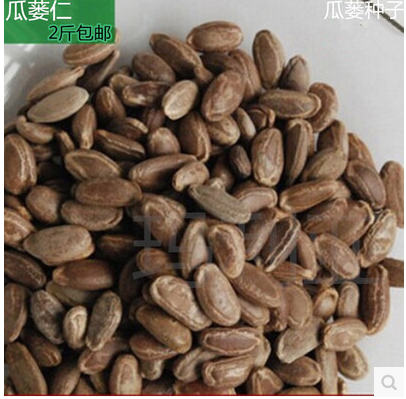 中药材种子栝楼瓜蒌种子药瓜种子牛蒡子种子前胡柴胡种子山茱萸