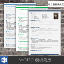 个人简历模板word简历模板源文件 WPS求职简历模板 简洁个性