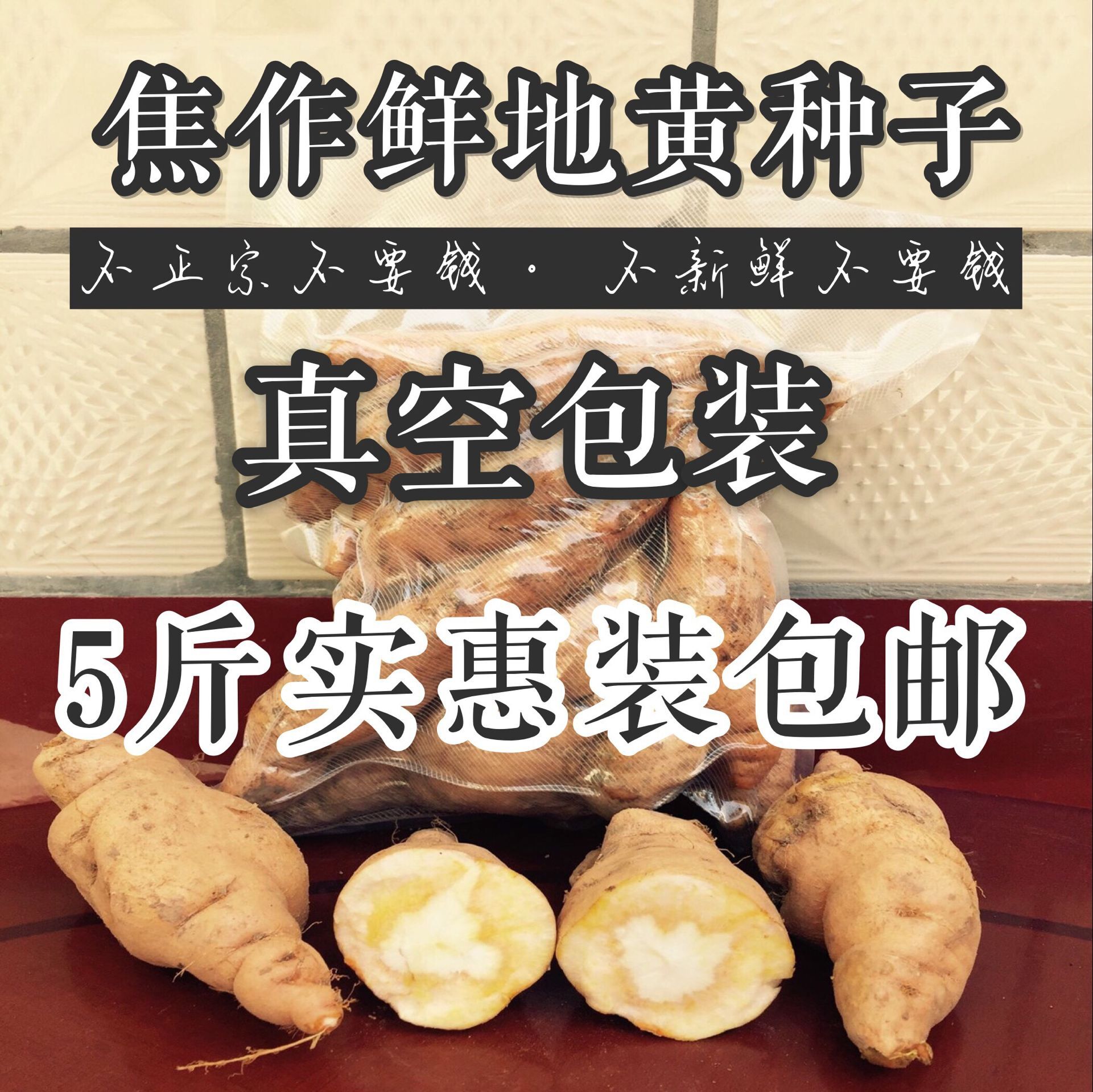 农家新鲜地黄怀地黄焦作特产鲜生地黄中药材四大怀药地黄种子5斤