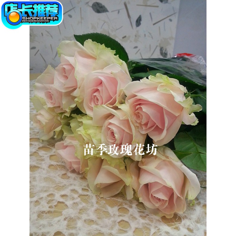 正品[上海富士相机维修]上海富士相机维修点评