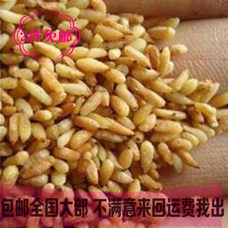 中药材柏子仁正品柏籽仁 净仁去壳无沙炒柏子仁安神 助便500g养生