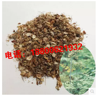 批发新采杜仲种子杜仲树种子当归种子黄芪党参种子柴胡紫苏牛蒡子