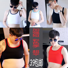 束胸衣 加强超平彩色边 绷带塑胸衣 简态 短款 束胸 大码 les