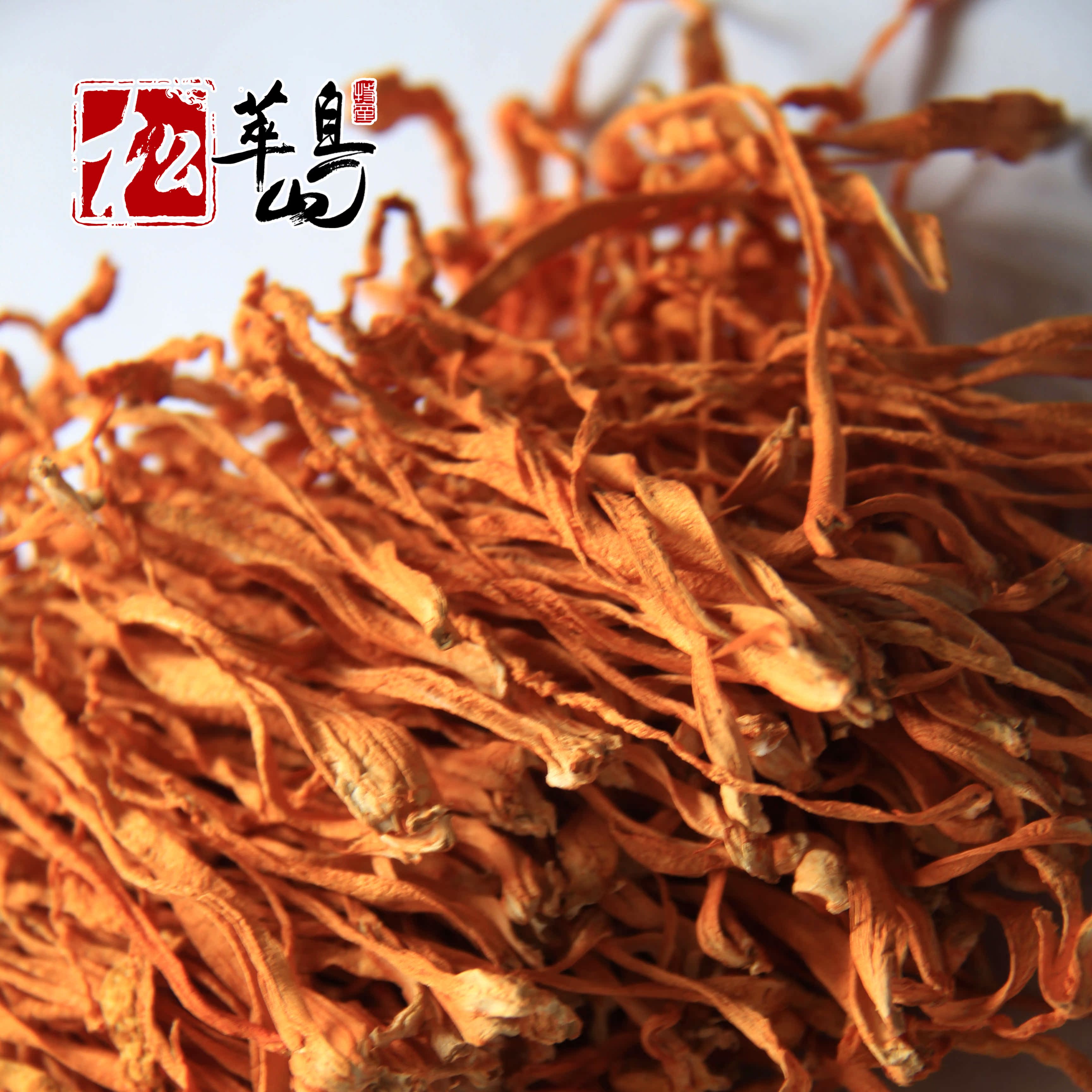 特级北虫草 虫草花 北冬虫 夏草金虫草花 北虫草特级500g特价包邮