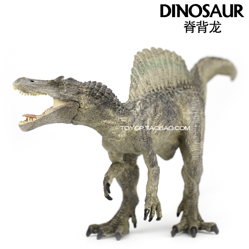 正品[暴龙太阳镜]暴龙太阳镜官网评测 暴龙太阳