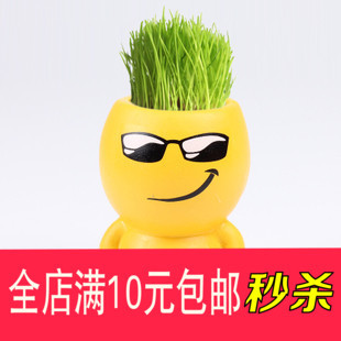 炫酷表情 长草娃娃 diy青草种植盆栽盆景办公室桌面盆景有氧植物