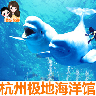 【特价】企鹅 珠海长隆帝企鹅酒店自助餐 成人