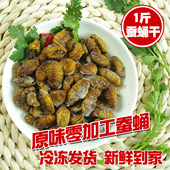 包邮 4份多地 1斤桑蚕蛹 蝉蛹 生蚕蛹原味蚕蛹蚕蛹干 新鲜蚕蛹500g