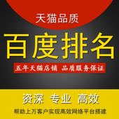 百度谷歌360搜狗网站关键词排名seo优化推广首页外链前三快照收录