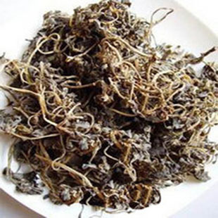 马齿苋 干野菜 中药材 马齿草 马齿菜 马苋 五行草 长命菜 500克