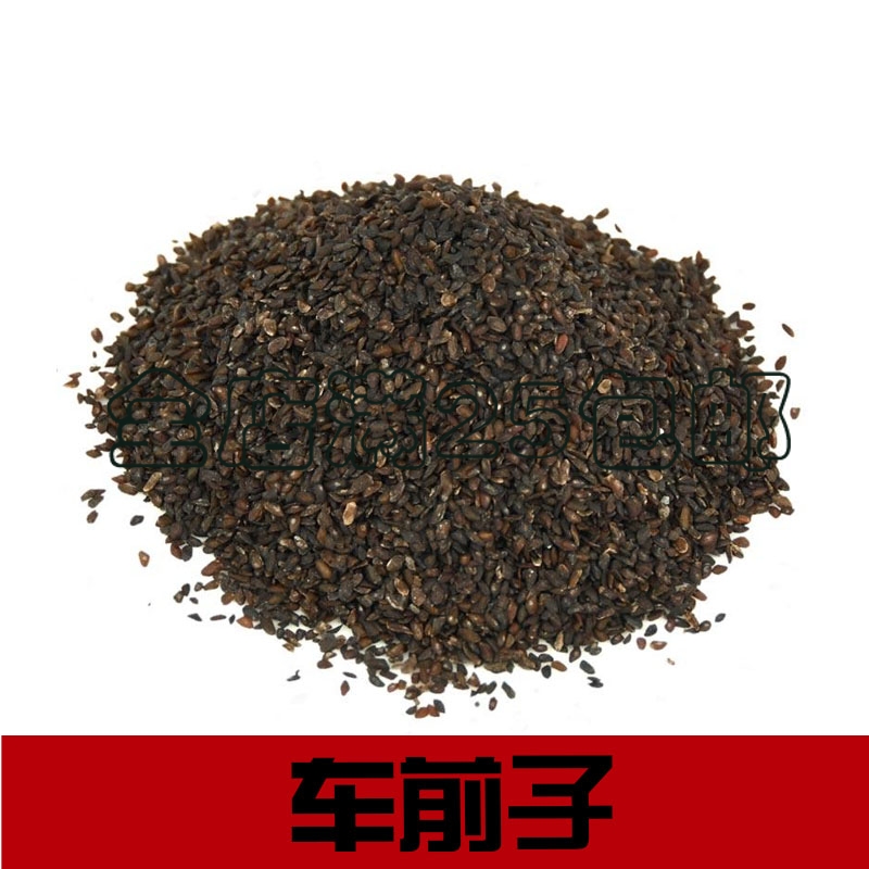 中药材 车前子 车前草子粉 车前草的种子 车前子壳 500g 包邮