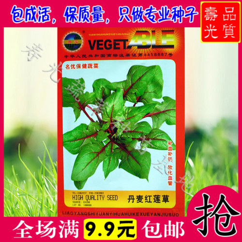 特色名优保健蔬菜丹麦红莲草补血补钙软化血管
