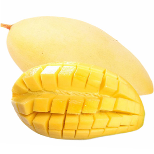 ̩â ̩â ˮâ ̩â â 10װ