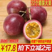 大红果 水果酸爽香甜 现摘百香果新鲜热带广西西番莲鸡蛋果22个装