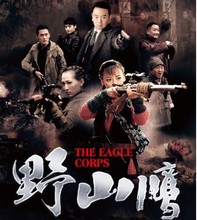 杨舒 秦子越 孙鹏滨 张晨光 42集抗日战争电视剧 DVD 野山鹰 正版