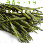 500g 包邮 效果胜铁皮枫斗紫皮 贵州赤水新鲜野生金钗石斛四年老条