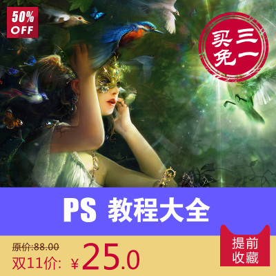 Ai视频教程全套自学平面设计中文版Adobe Illu