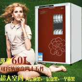 枫花30L60L消毒柜消毒碗柜立式高温光波家用商用68L迷你小型杯柜