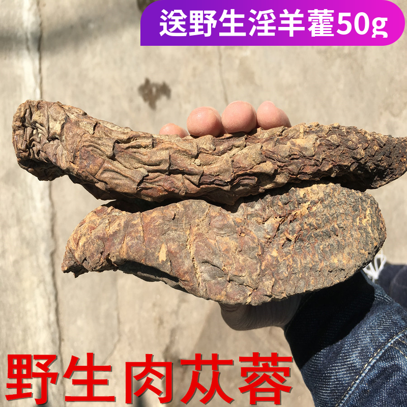 中药材肉苁蓉