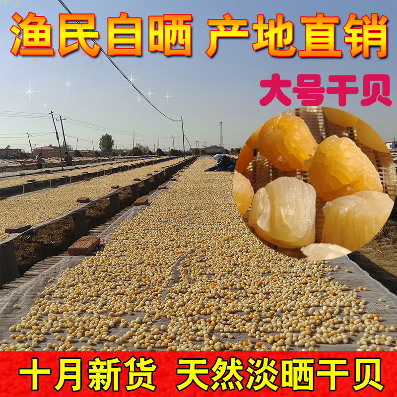 渔民自晒干贝瑶柱 淡晒瑶柱大扇贝无盐淡干干贝丁干货250g包邮