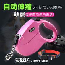 宠物狗狗牵引绳自动伸缩泰迪小中型犬比熊博美狗绳金毛狗链子