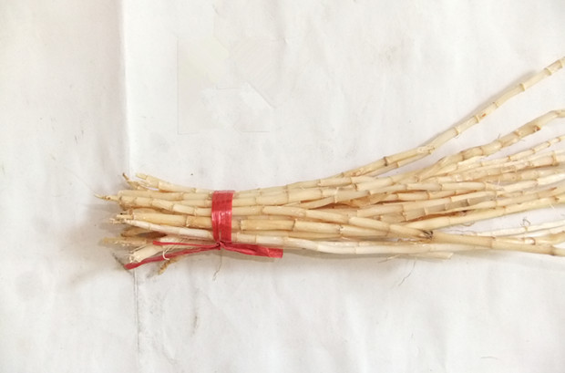天然野生白茅根干货竹蔗芦根茅草根凉茶清热广东韶关中药材