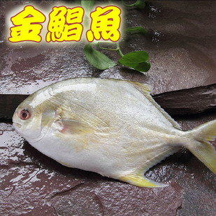 ͬѧ 꺣  ʺҰ550/