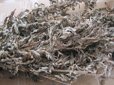 艾草五月艾蕲艾叶 沐浴足浴艾叶艾草泡脚泡澡做月子传用洗澡