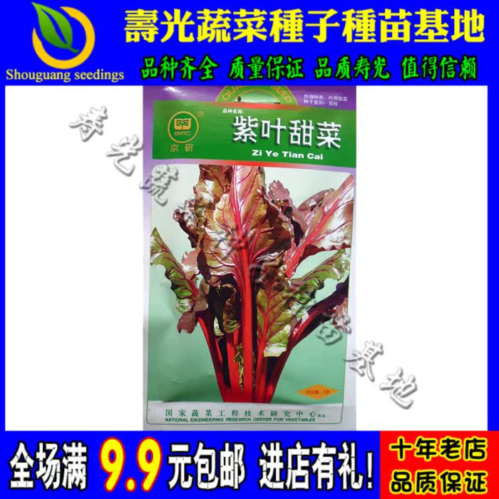 【保健特菜】紫叶甜菜种子 红梗菜补血奇效 甜脆爽口可盆栽蔬菜籽